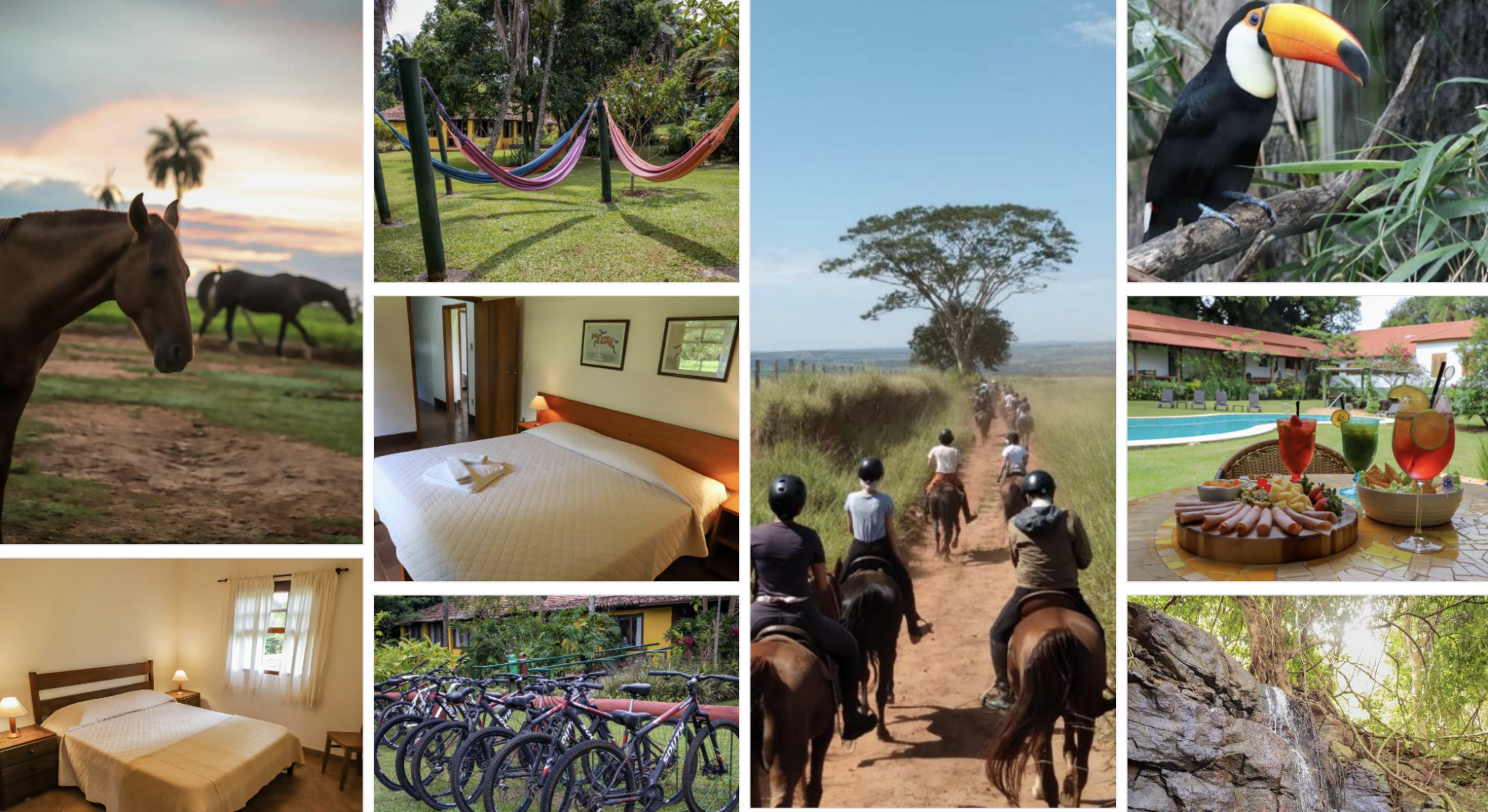 Hotel Fazenda Interior SP Pet Friendly Que Aceita Cachorro, Gato e ...